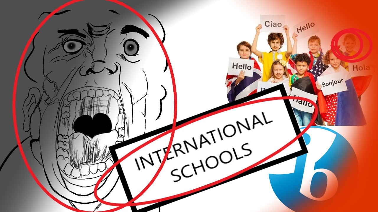 my experience going to international schools