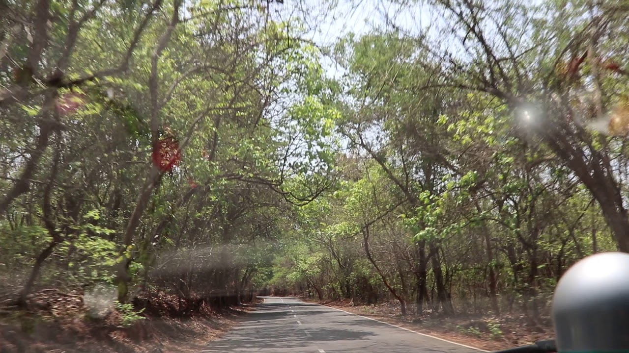 Goa to Dudhsagar road trip