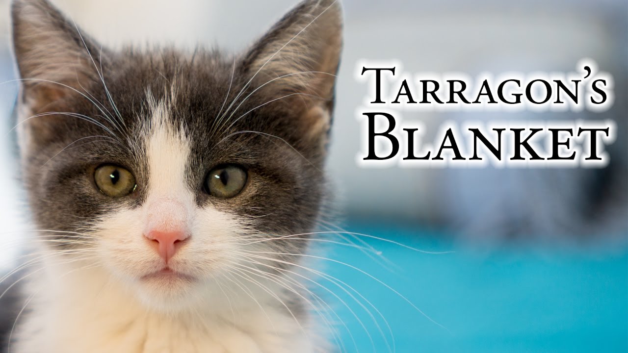 Tarragon's Blanket