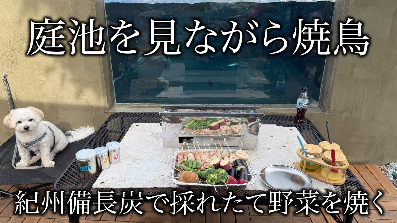 【絶品庭キャンプ飯】紀州備長炭で焼鳥と野菜を焼いて庭池の前で食べた！