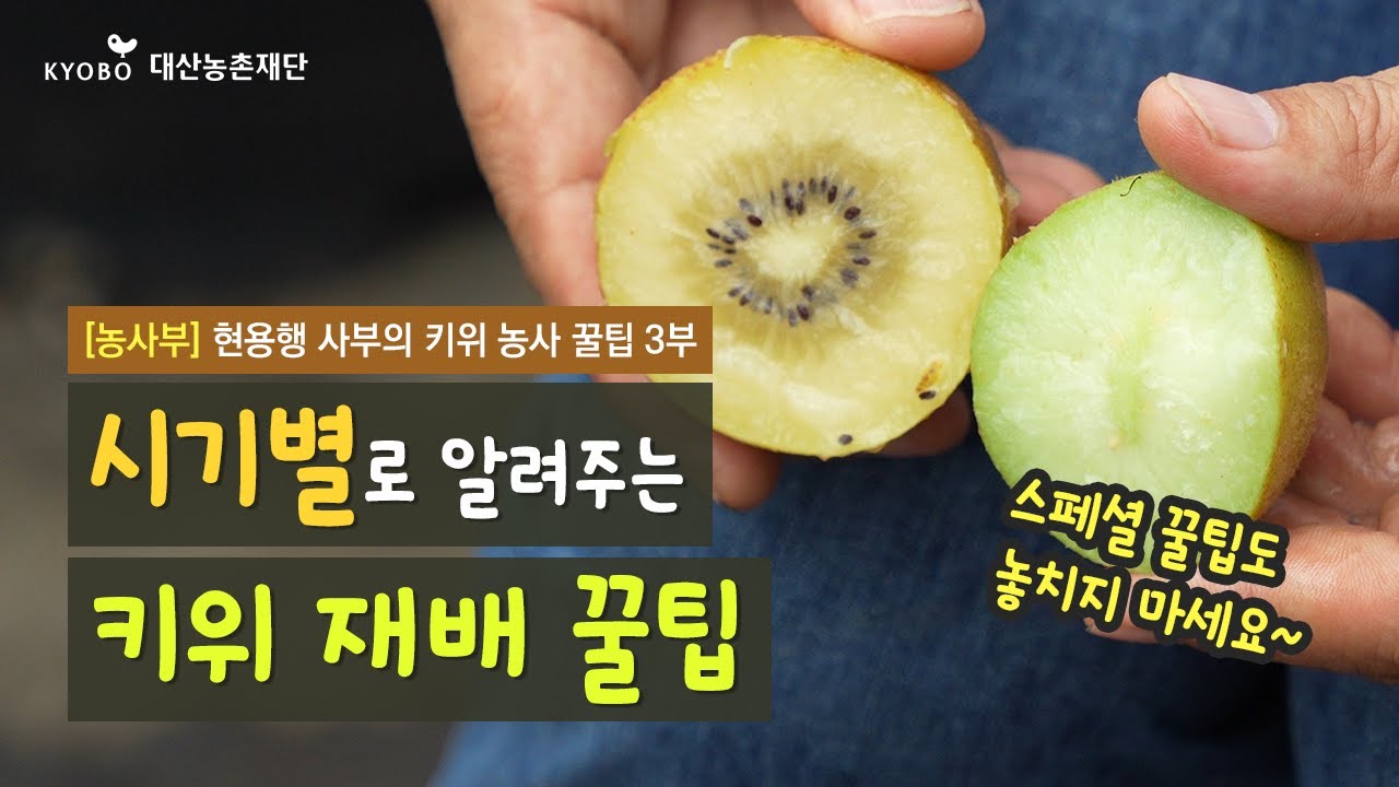 [농사부] 🥝 #현용행 사부 (3) 시기별로 알려주는 #키위 농사의 모든 것!