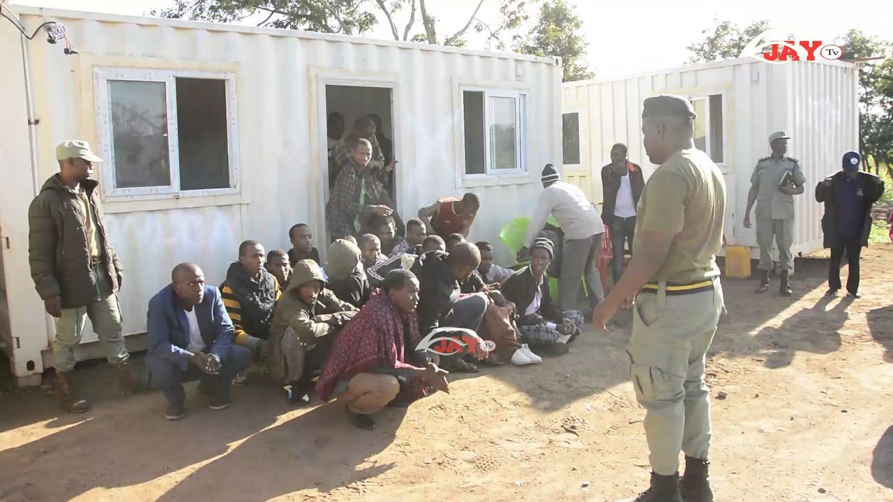 WAHAMIAJI Haramu 20 Wakamatwa Songwe, Madereva wa Malori 2 Mbaroni kwa Kosa la Usafirishaji