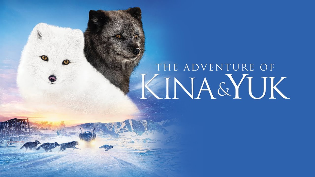 Kina & Yuk | A Winter Adventure | Coming soon this Christmas on Digital Download DVD on 1st December