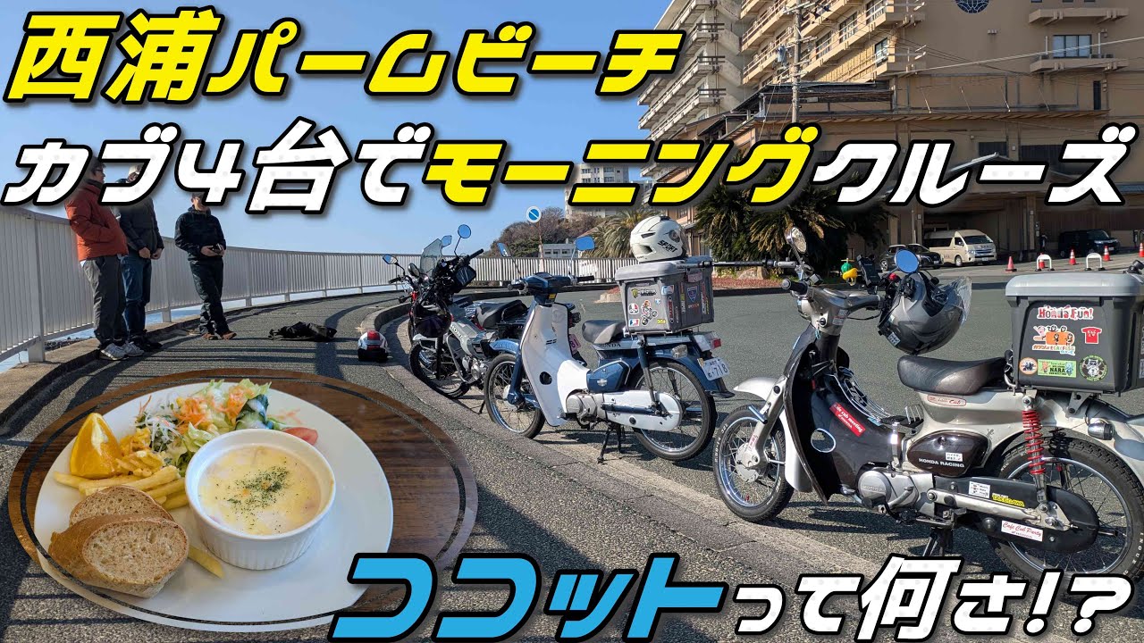 #184 リトルカブ | 西浦パームビーチ🌴へモーニングクルーズ | 朝活 | スーパーカブ | ハンターカブ | motovlog