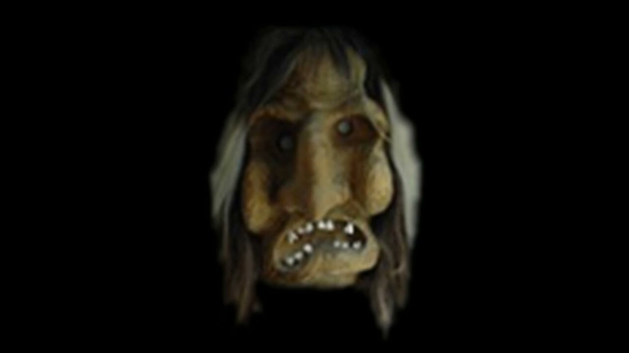 Fremdländler von Helena Winkelman