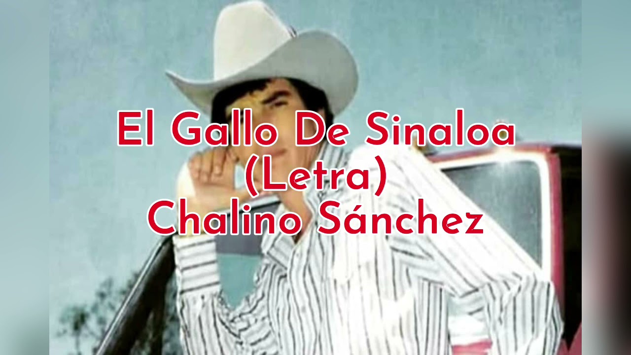 El Gallo De Sinaloa (Letra) Chalino Sánchez