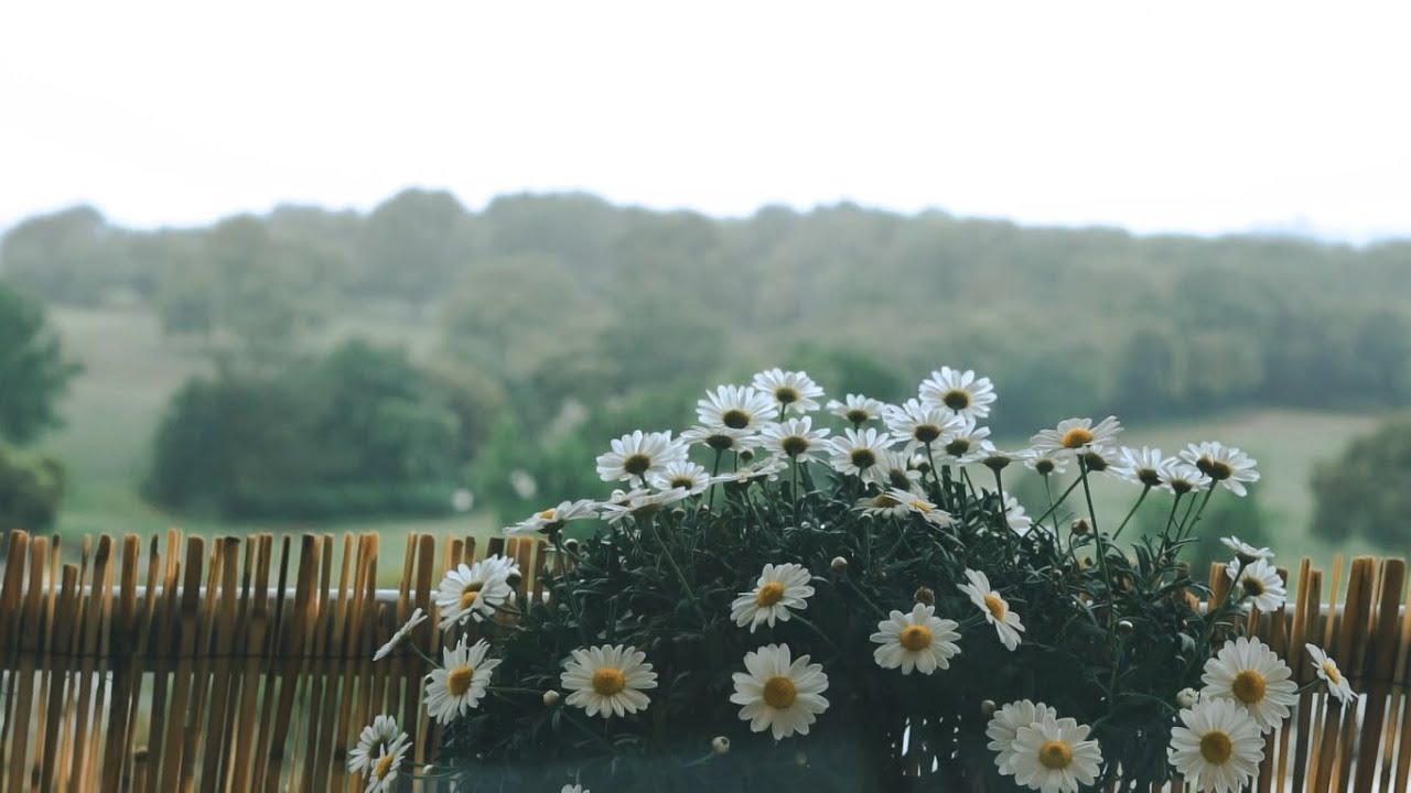 Last days of May| A simple lunch on the balcony