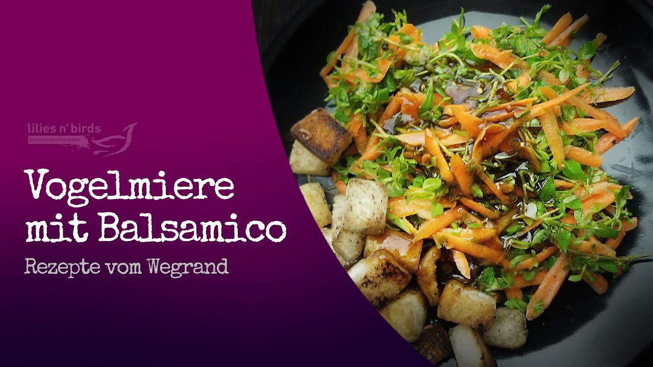 Vogelmiere-Salat ✿ mit Löwenzahn-Dressing