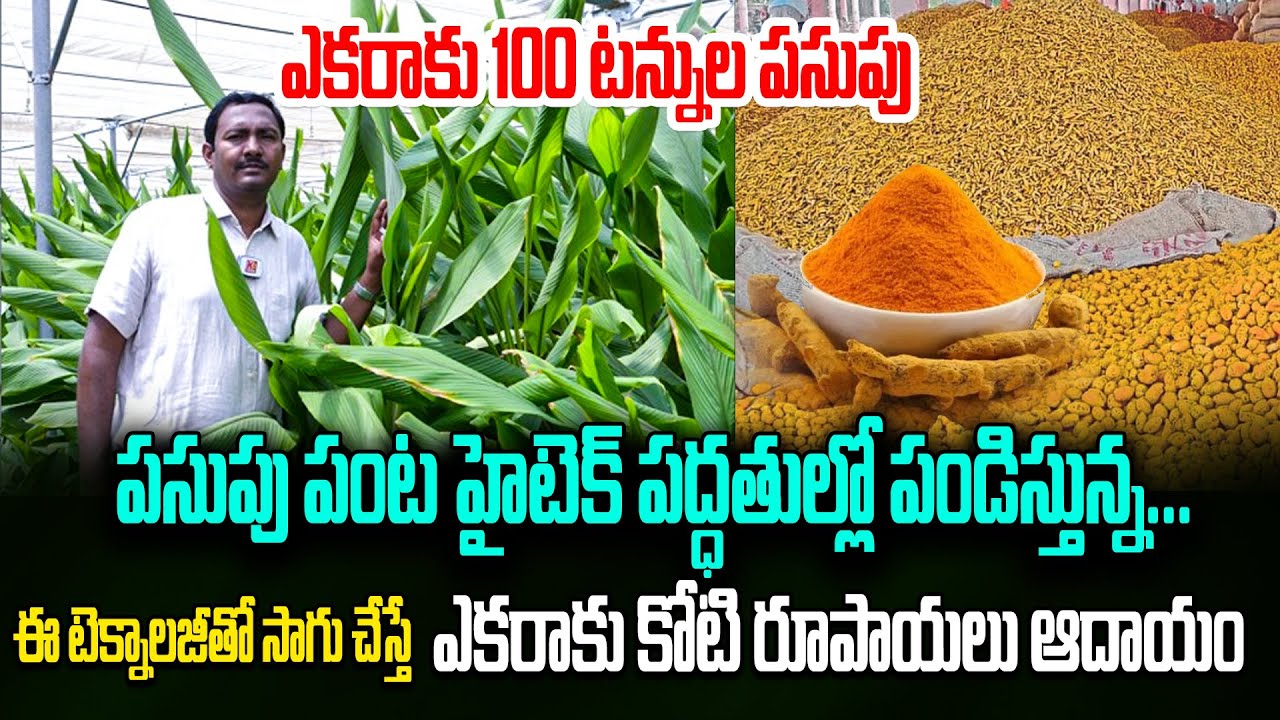 ఈ టెక్నాలజీ తో ఎకరాకు 100 టన్నుల దిగుబడి | Huge profits in Turmeric | Pasupu Saagu | Kiran Tv Rythu