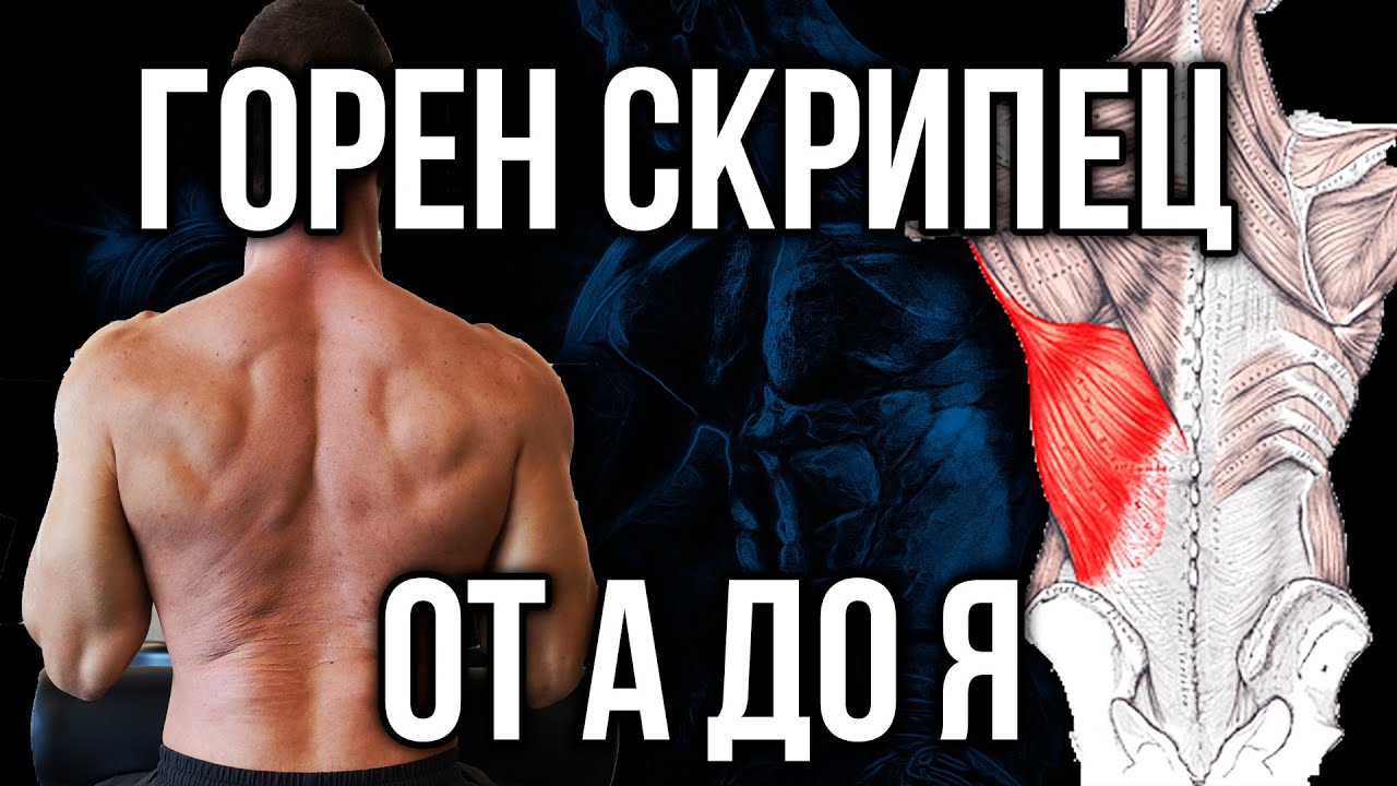 ГОРЕН СКРИПЕЦ - Правилно изпълнение за широк гръбен