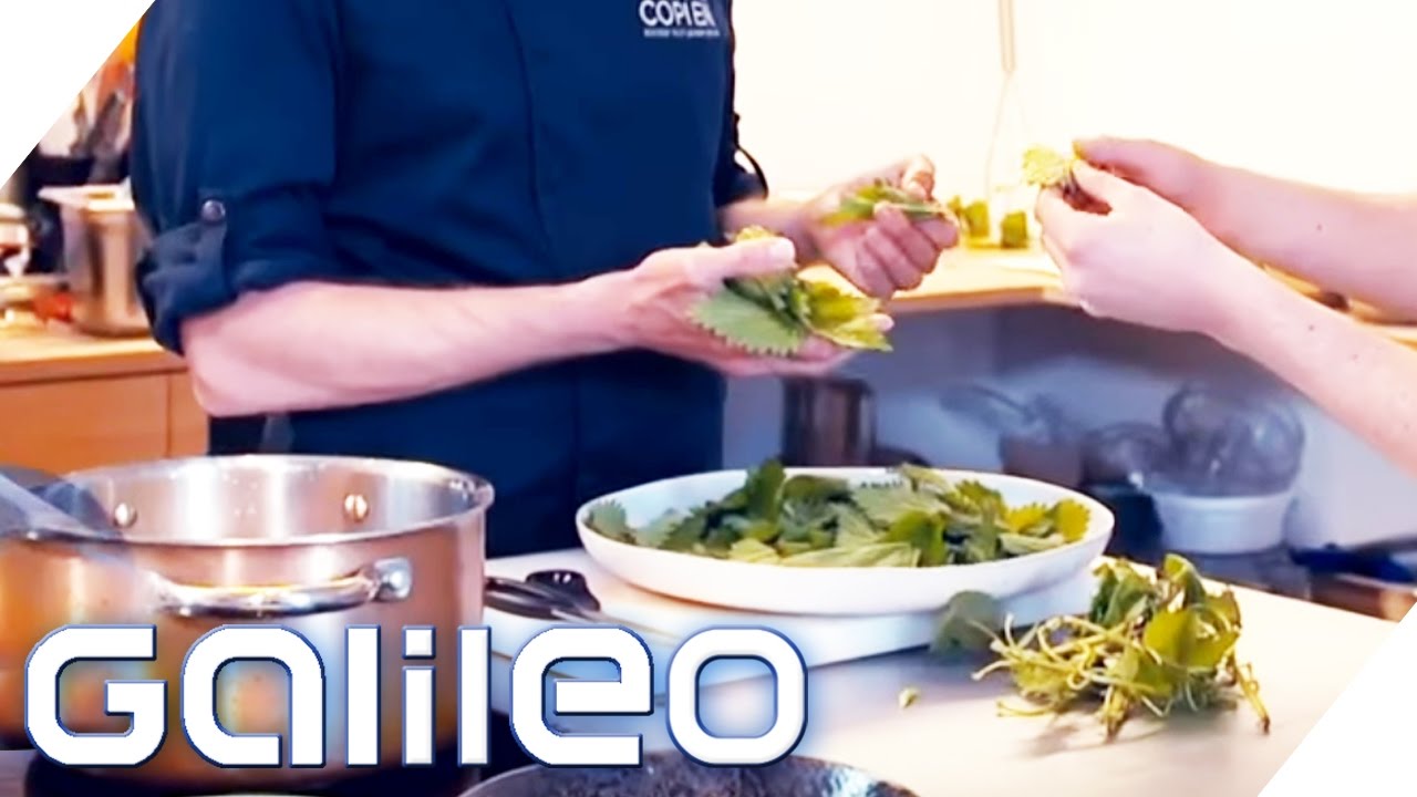Heimisches vs. exotisches Superfood | Galileo | ProSieben
