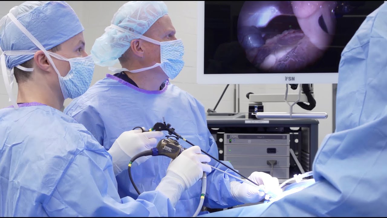 Laparoscopic Spay for a Cause
