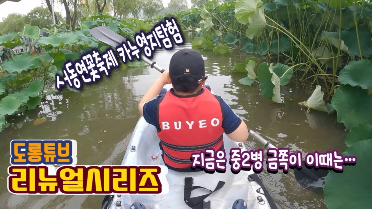 [서동연꽃축제]  중2병 도롱이의 과거 세탁 ㅋㅋㅋ 🤣 카누 타고 밀림 탐험하던 귀요미 시절 #추억소환 #아기시절 #육아소통 #카누연지 #카누체험 #도롱이 #도롱튜브