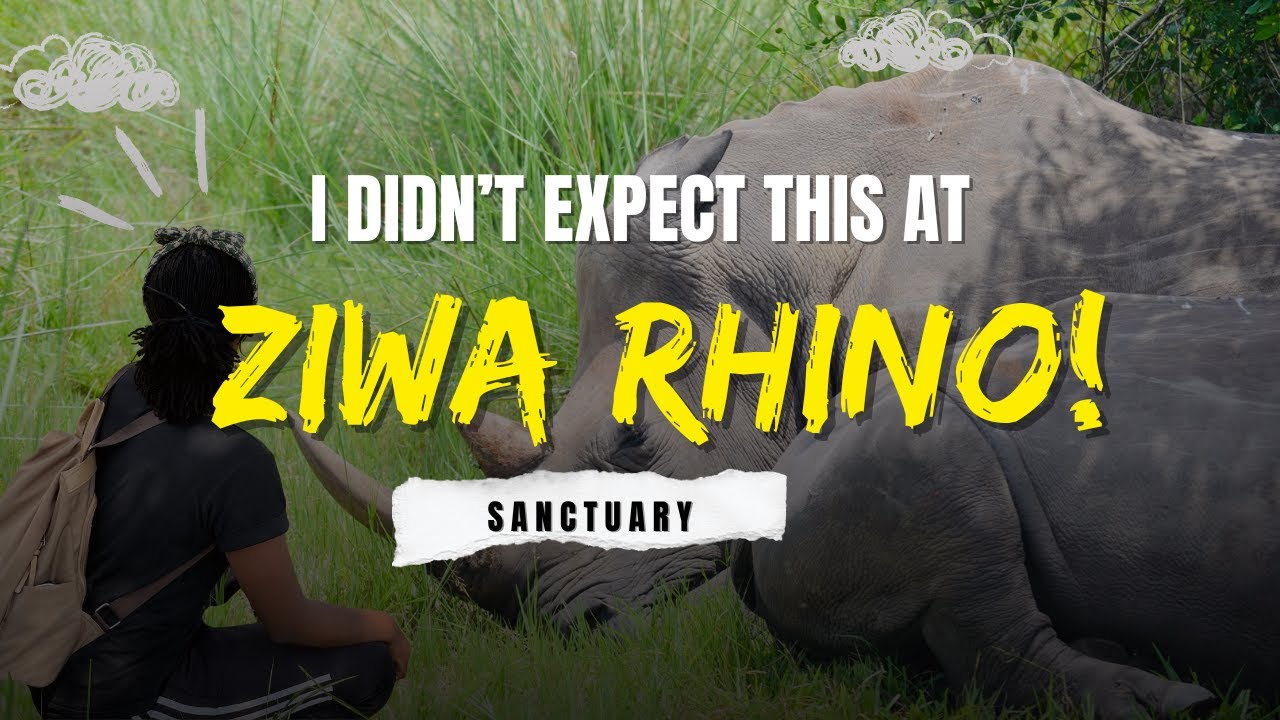 My First Rhino Trek in Uganda 🇺🇬 | Ziwa Rhino Sanctuary