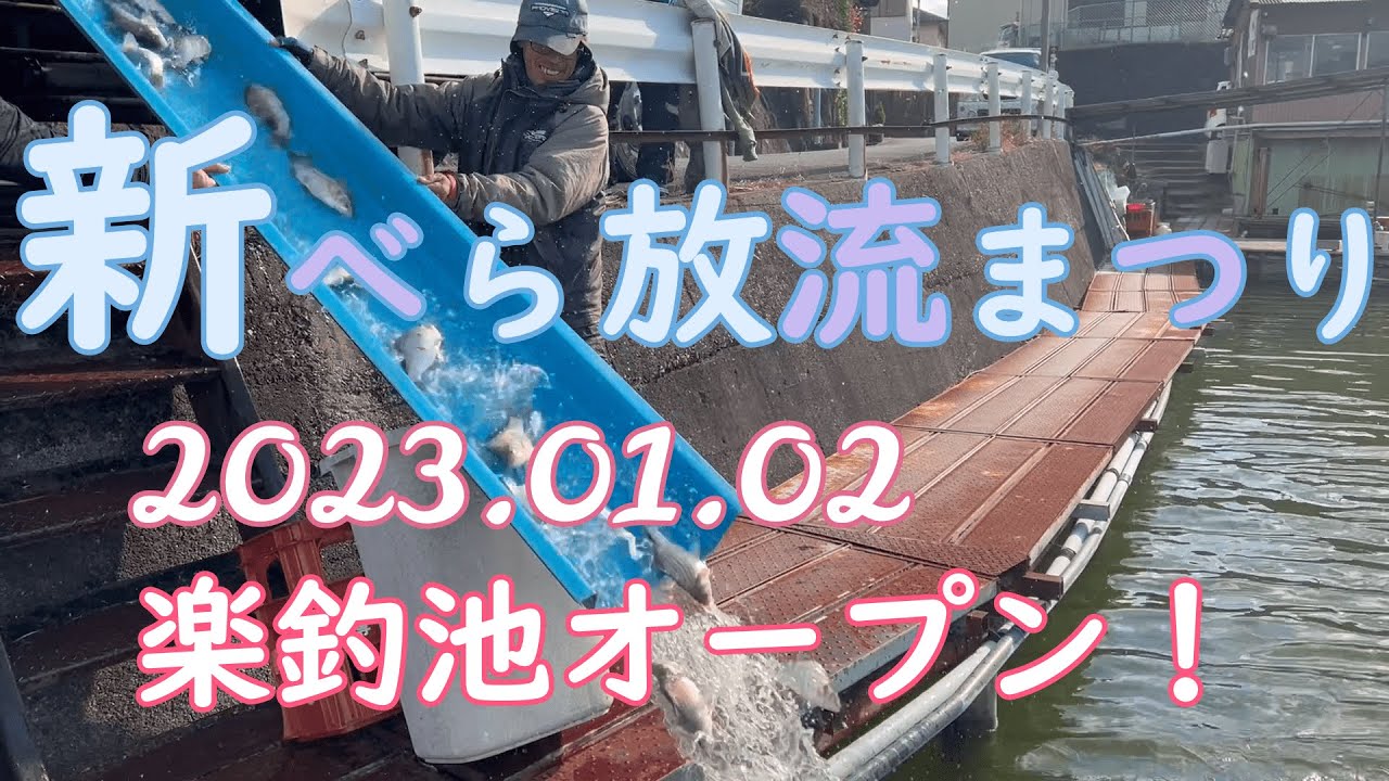 へら釣り【うどん池と楽釣池に放流】