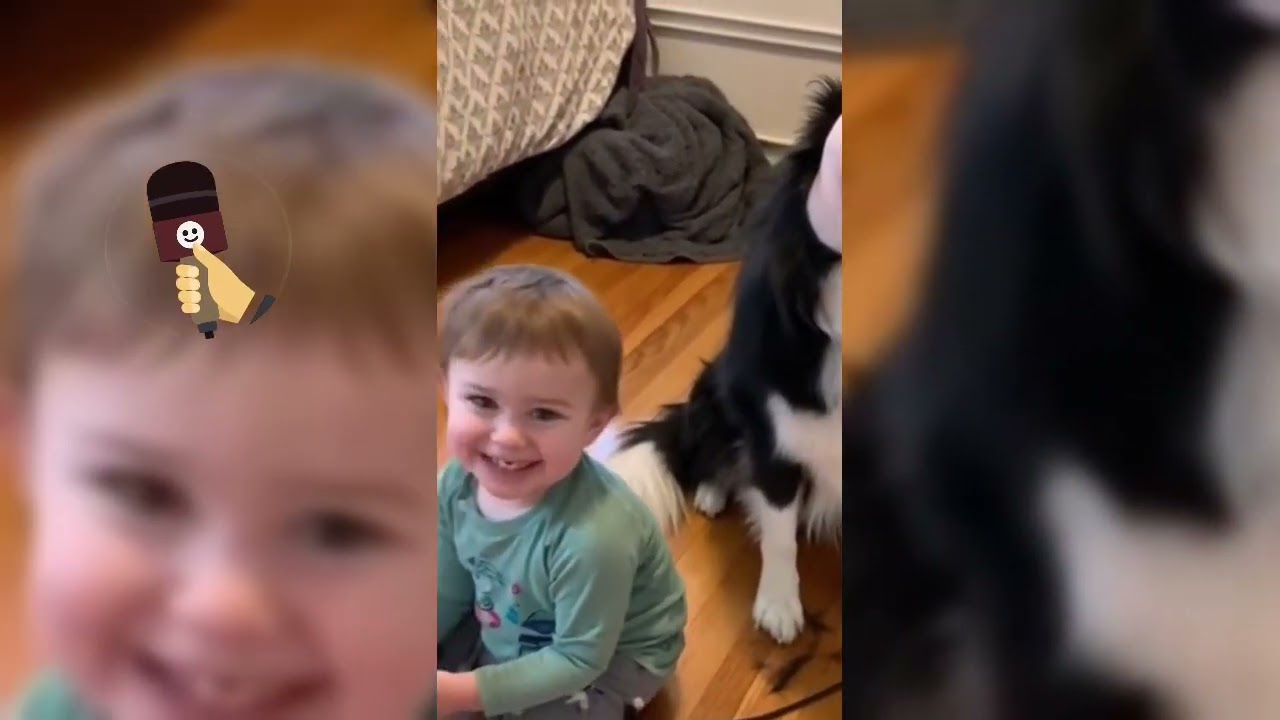 Recopilatorio: ¡Los mejores vídeos de IA y chistes con perros! 🐶🤖😂