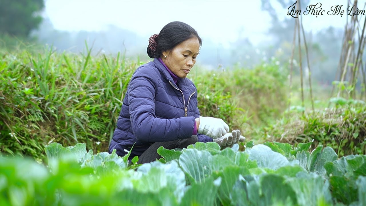 Buổi s&aacute;ng bắt s&acirc;u cho rau v&agrave; l&agrave;m th&ecirc;m &iacute;t b&aacute;nh đa nem cho bữa trưa ( Spring Rolls ) I Ẩm Thực Mẹ L&agrave;m