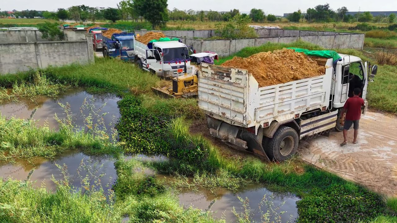 SO Nicely job STARTED New Project! Dump Truck Loading Soil,Skillful Dozer D20P Komats'u PushingSoil 