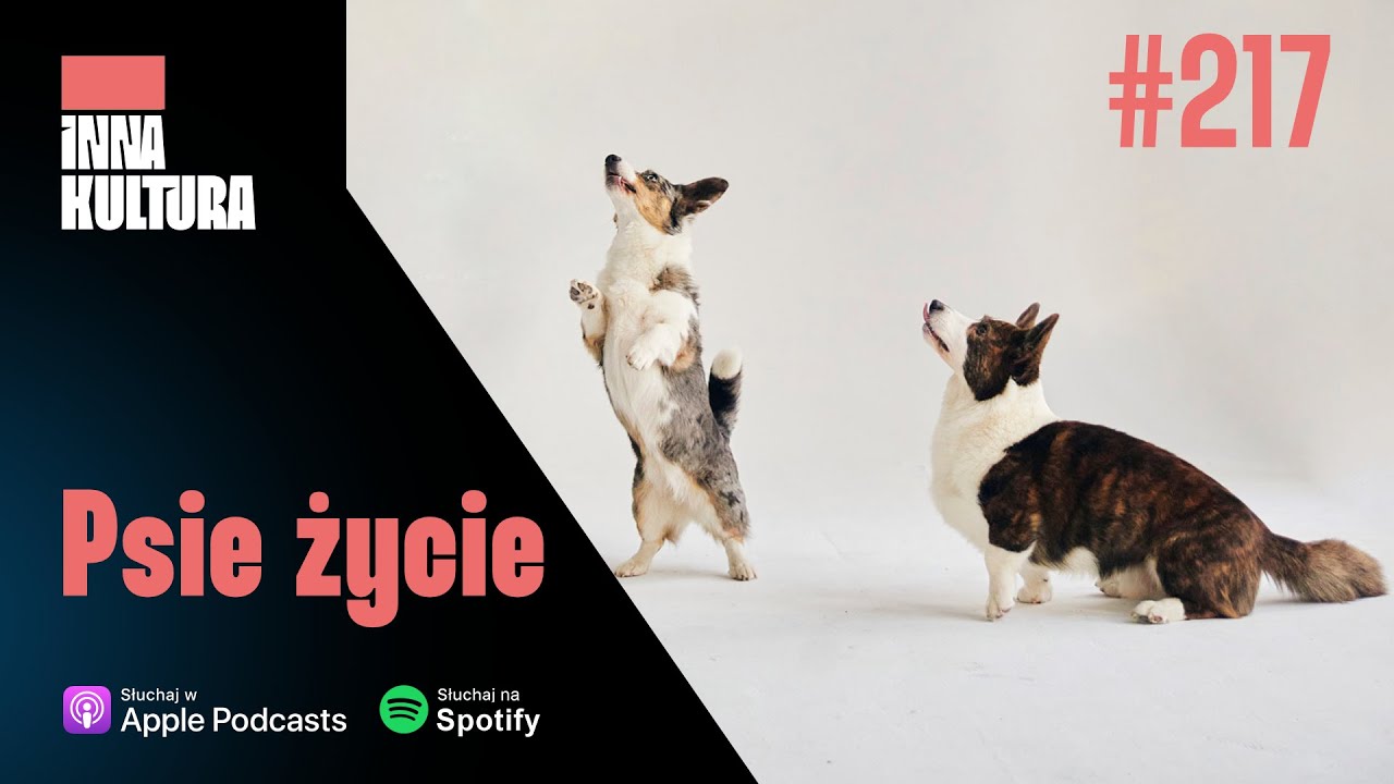 #217 &ndash; Psie życie (feat. Sandra Ligaszewska i Olga Urbanowicz)