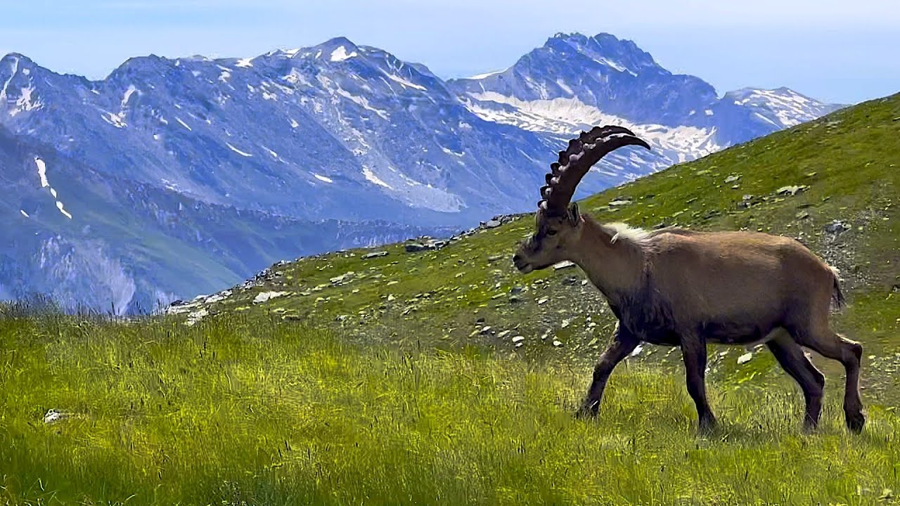 Parc National de la Vanoise   HD 1080p