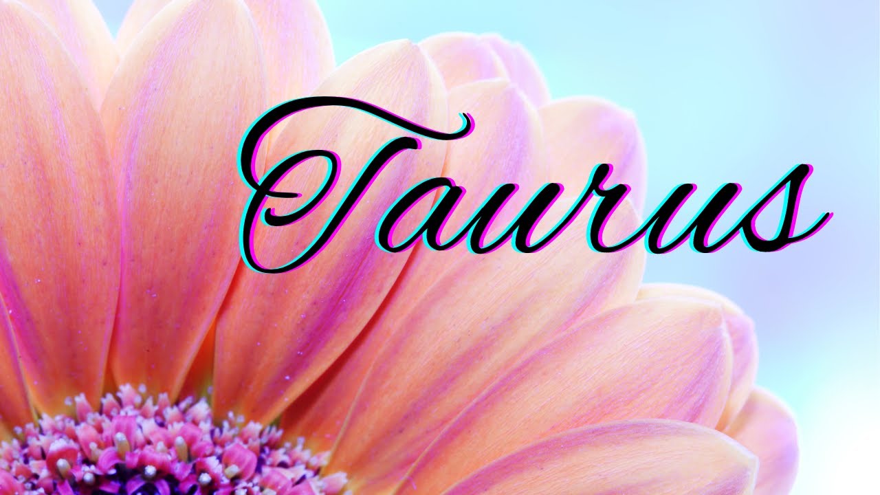 Taurus BONUS🌷Your Next Romantic Partner🌷New Love Reading