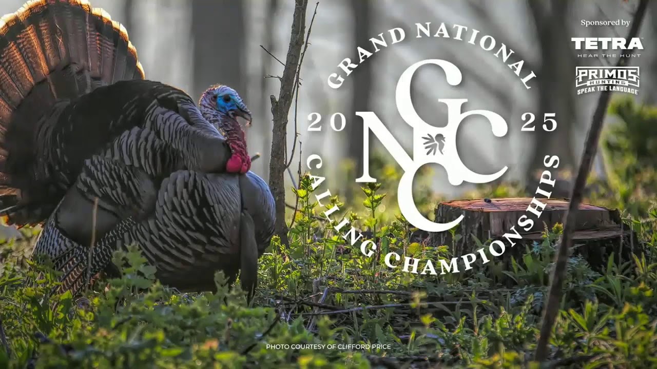 Grand National Calling Championships — Senior Finals