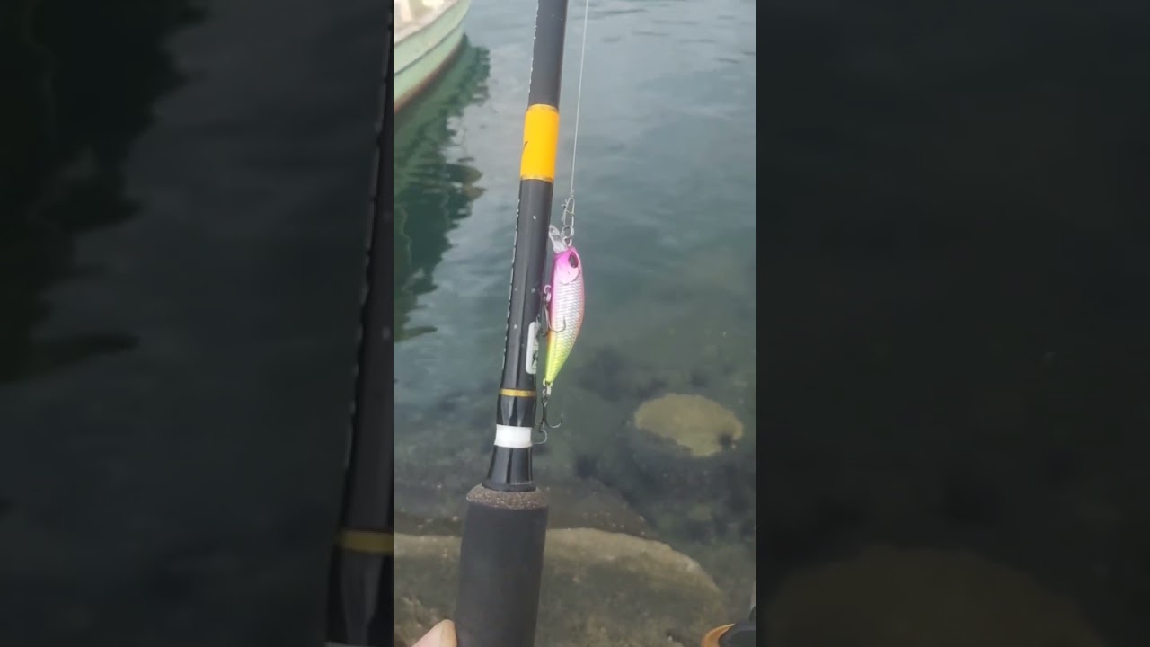 #lrflife #lrf #savagegear #cervantes