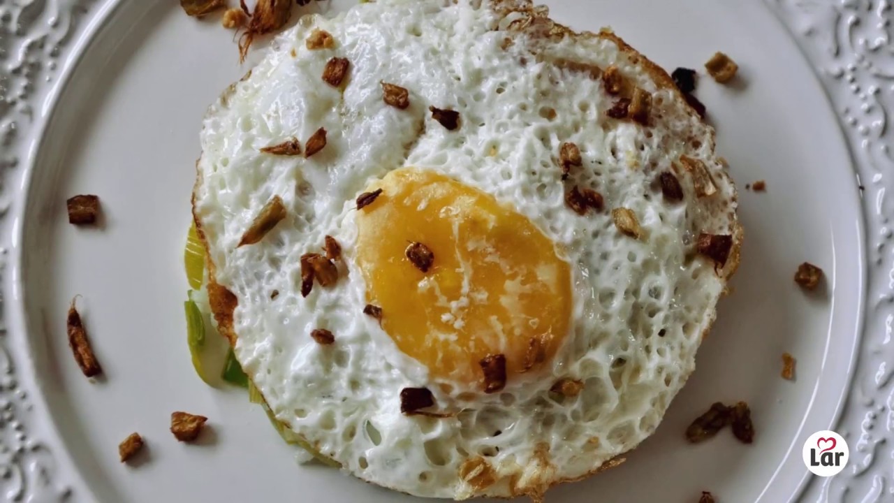 LAR TV   - LAR 53 ANOS - Produ&ccedil;&atilde;o de Ovos Comerciais