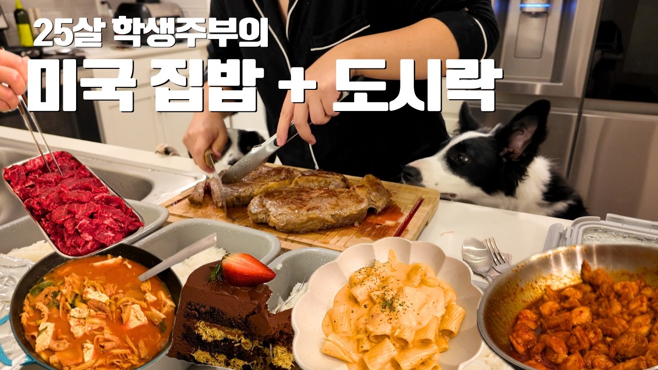 [🇺🇸] 25살 미국 학생주부의 대충간단 집밥 + 도시락 싸기 + 아마존 택배깡