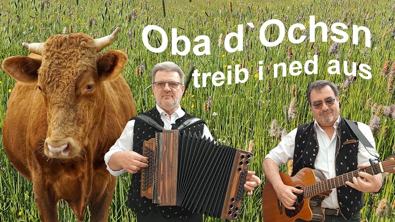 Oba d Ochsn - Zwiefacher