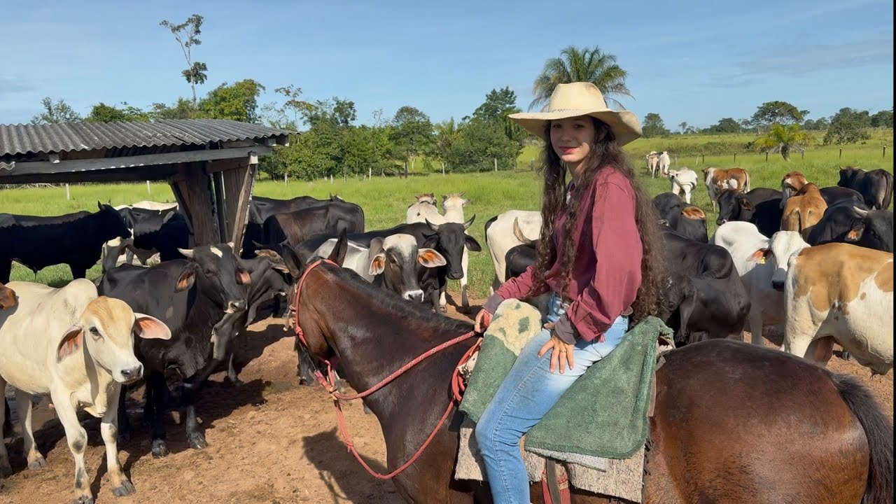 NÃO DÁ DE ACREDITAR O QUANTO OS MEUS BEZERROS CRESCERAM EM TÃO POUCO TEMPO 