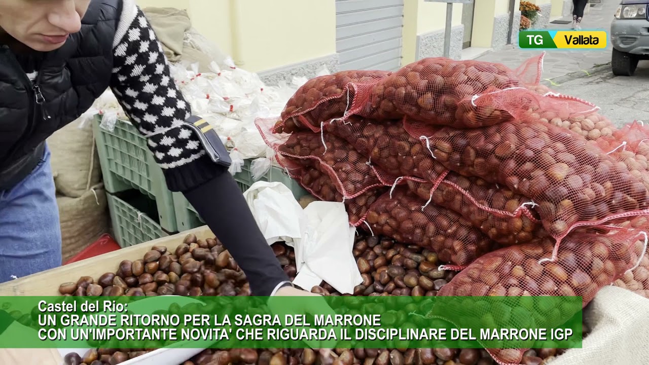 Castel del Rio: SAGRA DEL MARRONE 2021 e il nuovo disciplinare del marrone IGP.