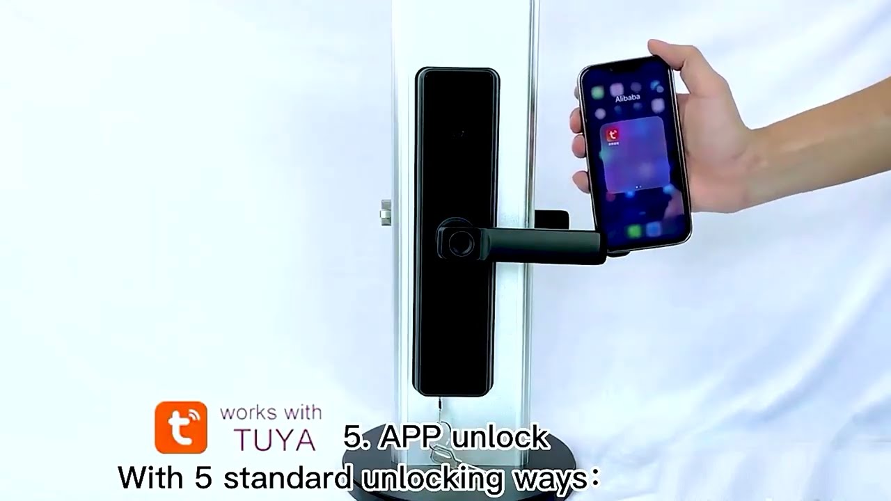 Lumive Smart Door Lock  Guardian X2 Features & Changing Handle