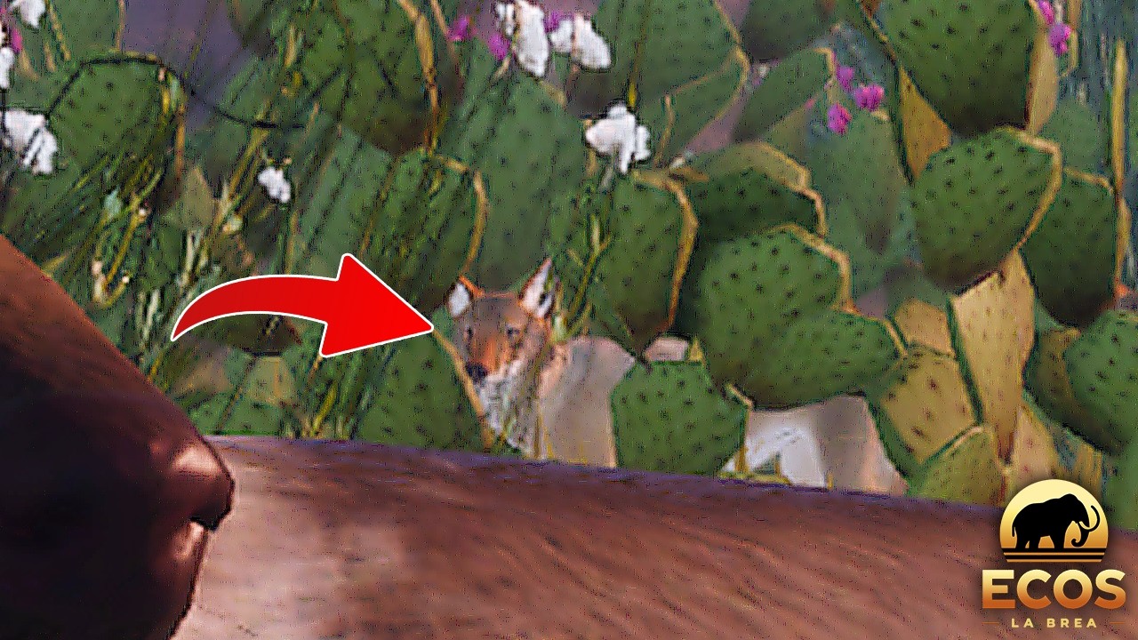 NEW Playable Animal Being Released?! | ROBLOX Ecos: La Brea
