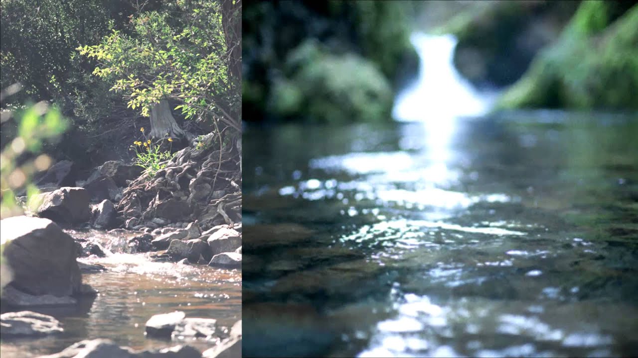 More like a River - Mackenzie Phillips (So Weird)