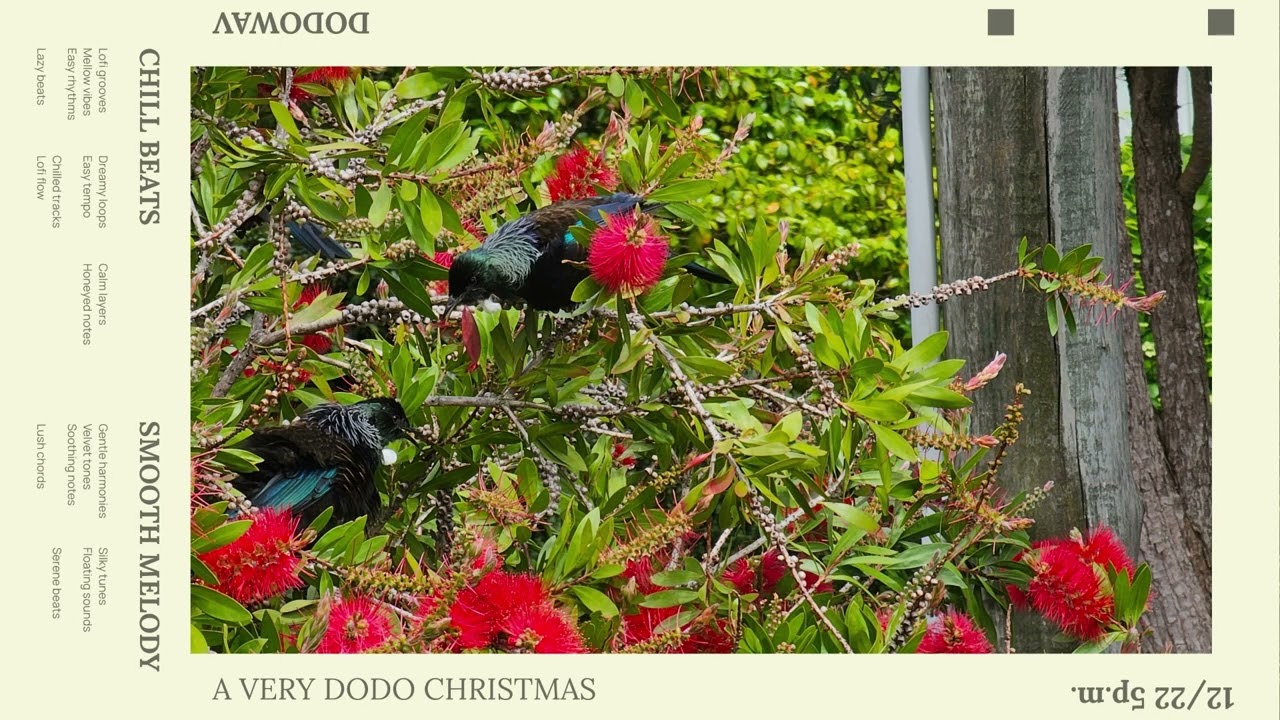 A Very Dodo Christmas