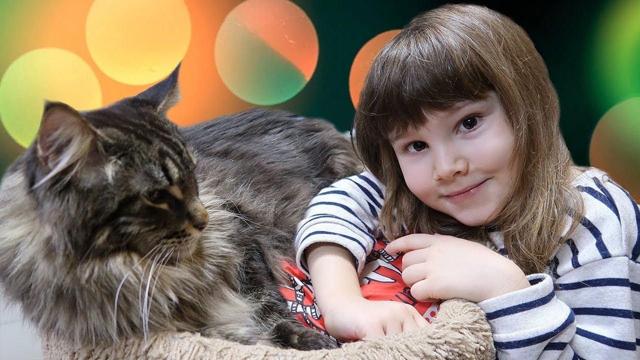 Смешные КОТИКИ 2019 и ВЕСЕЛЫЕ КОТЯТА РЕСПУБЛИКА КОШЕК