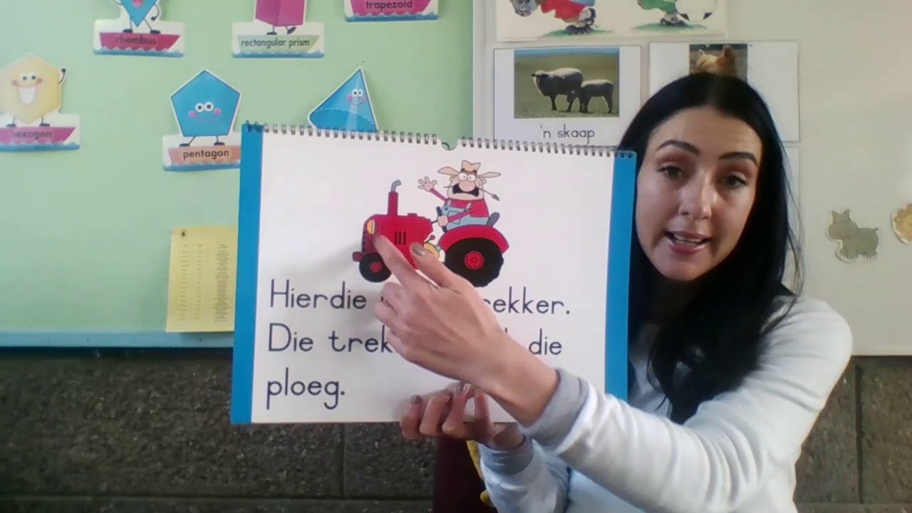 Grade 1 Afrikaans farm animals plurals