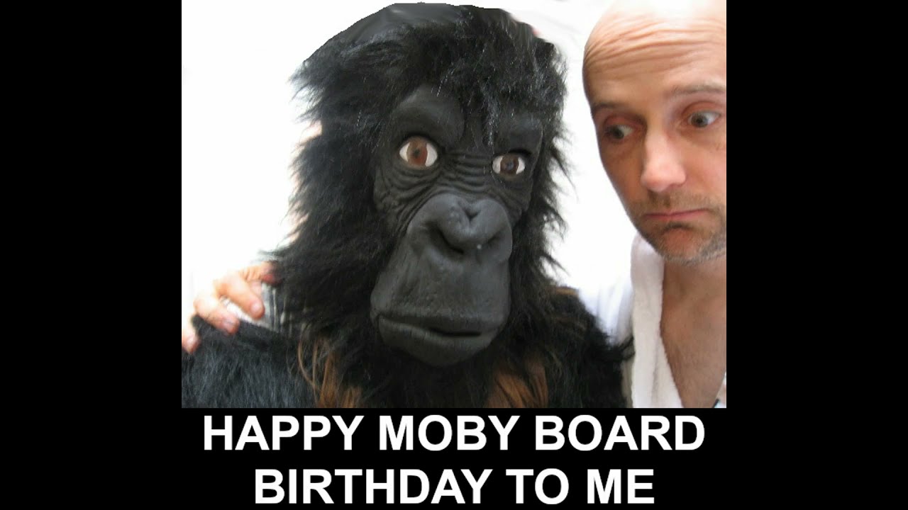 My Moby Board Birthday 2021