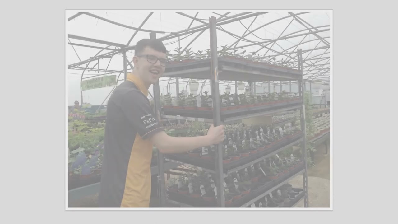 Work Experience 2024