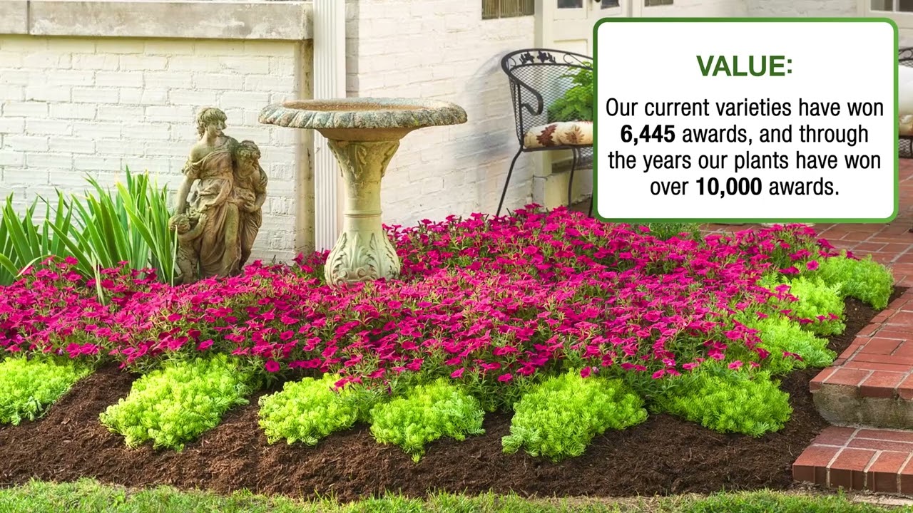The Value of Proven Winners&reg; Plants | Award-Winning Performance & Innovation