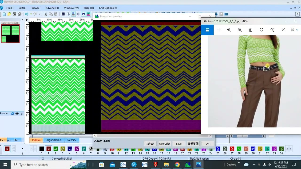 Raynen QiLiKnitCAD jacquard design program.
