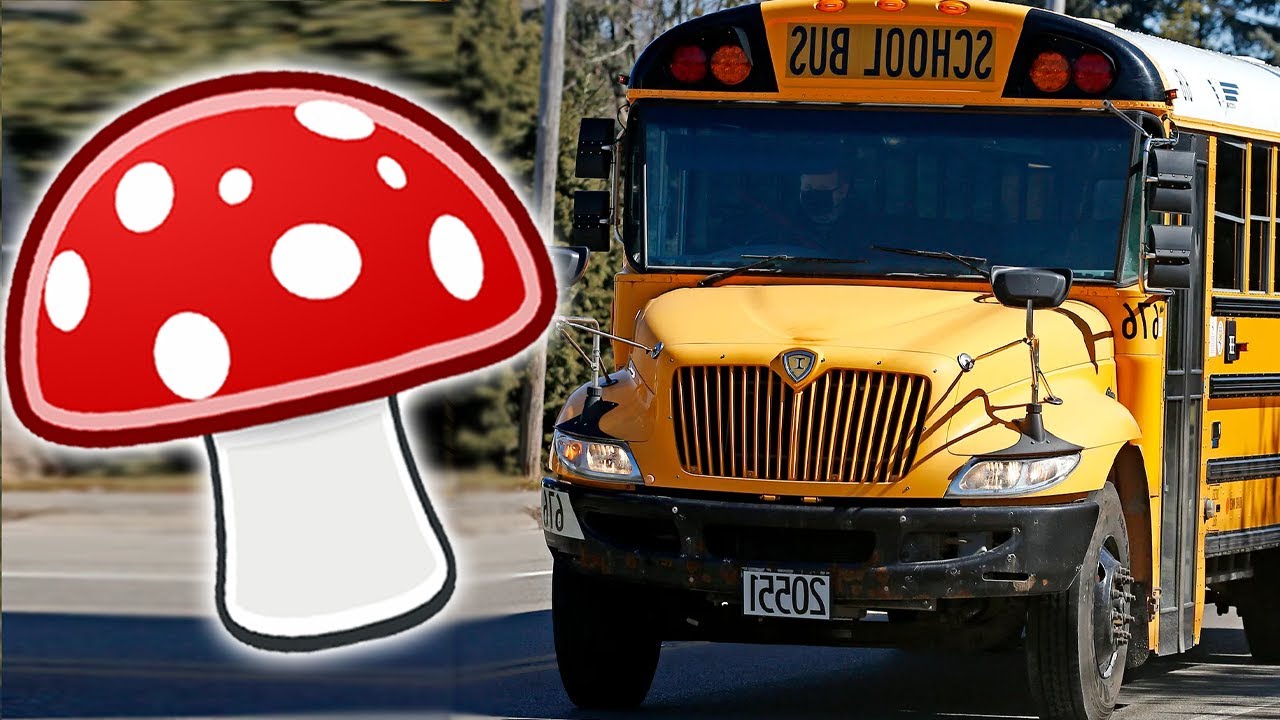 Caught With Mushrooms on the School Bus