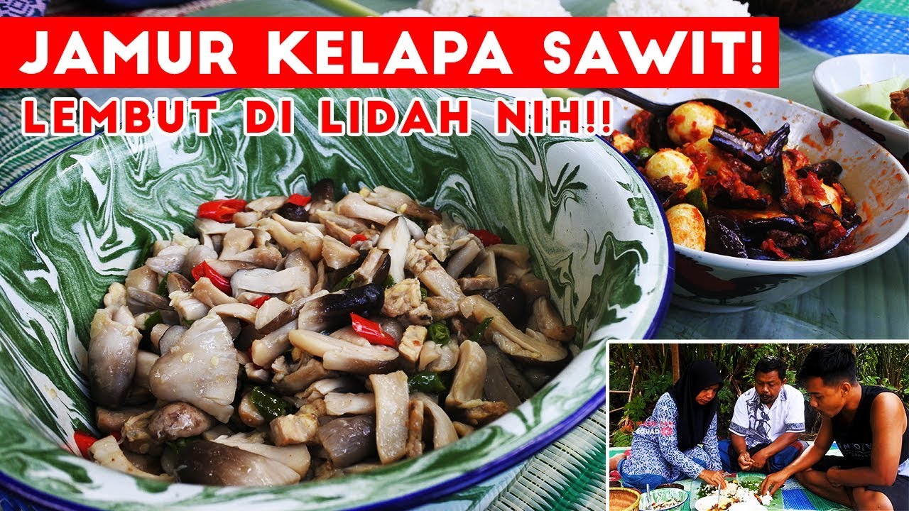 MUANTEEEEP! Jamur Kelapa Sawit + Terong Telur Puyuh Petai Balado!