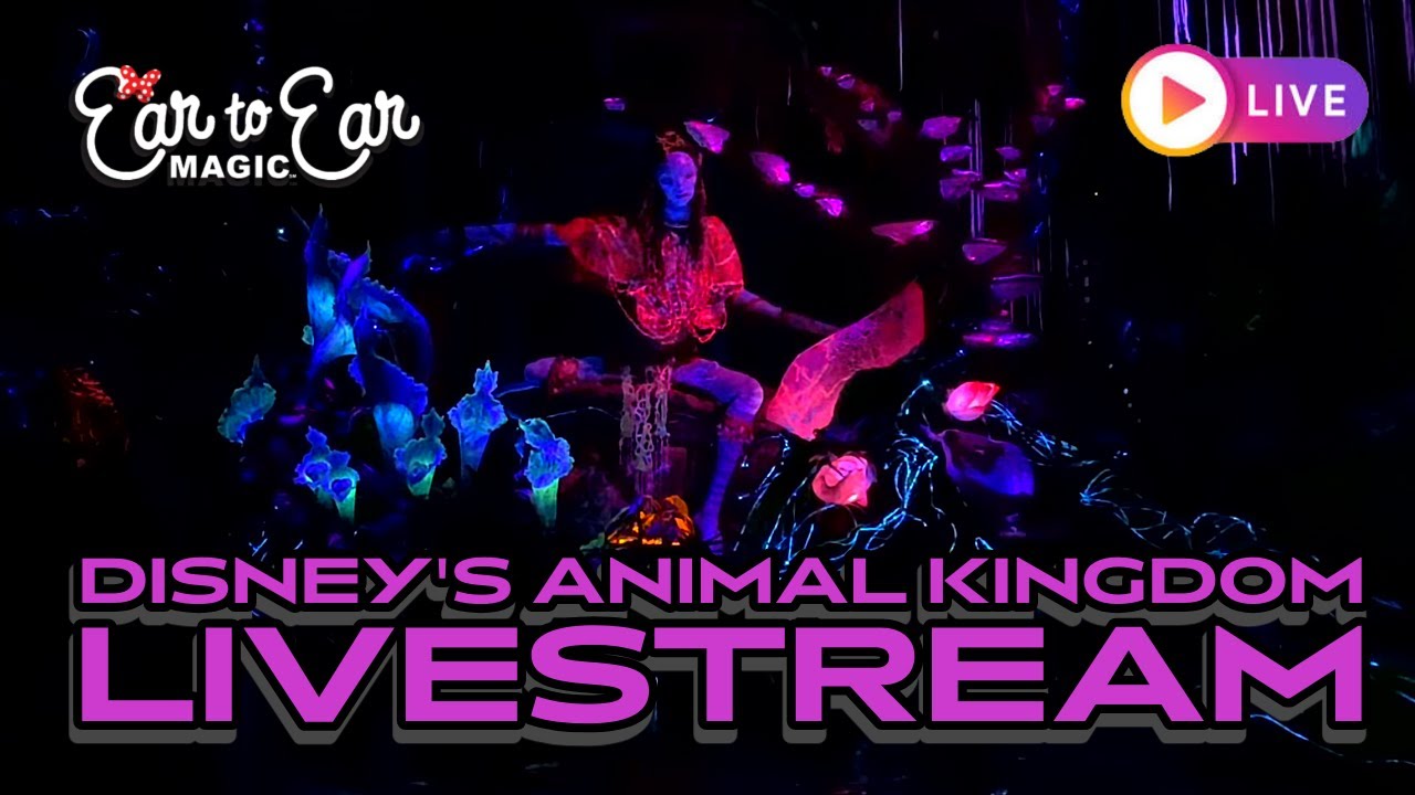 🔴 LIVE - Disney Animal Kingdom Theme Park -  Live Stream 02.20.2026