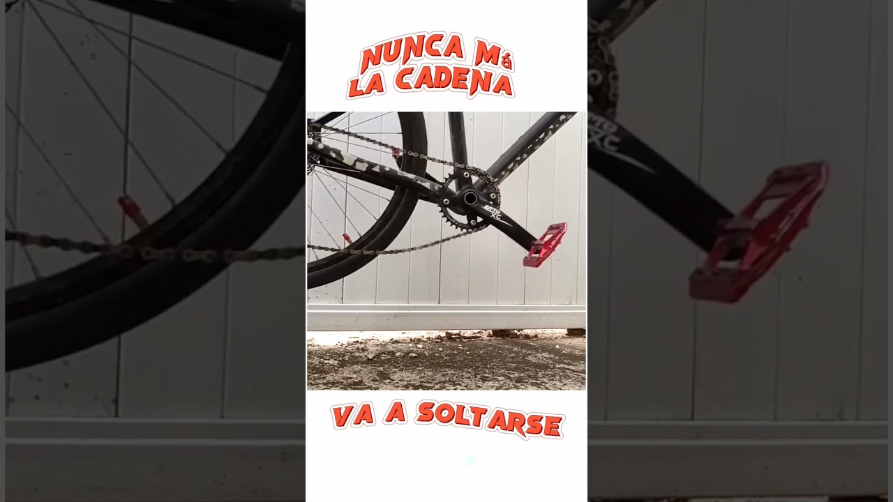Guiador de cadena zitto