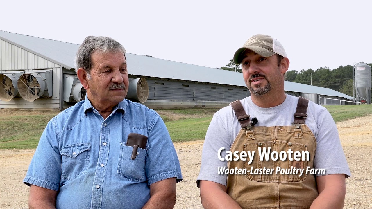 Wooten/Laster Farm: The Ups & Downs of Raising Poultry
