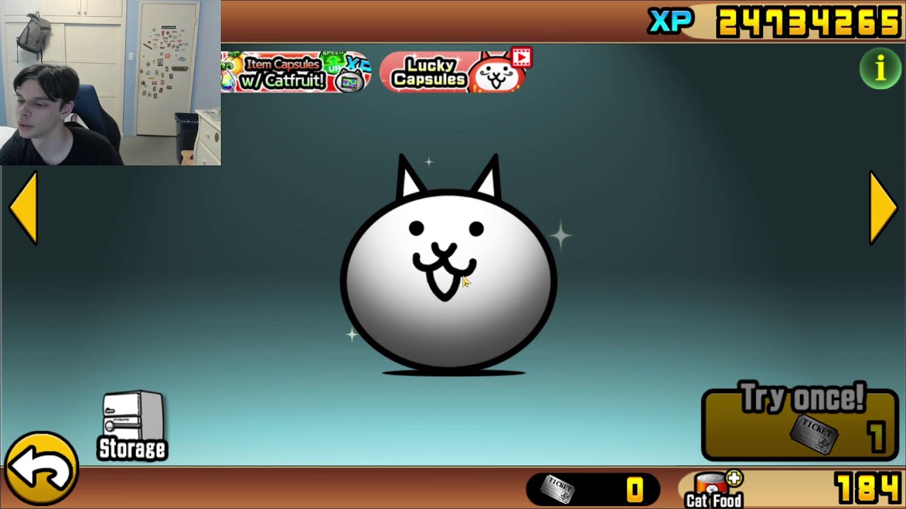 Battle Cats Day 110