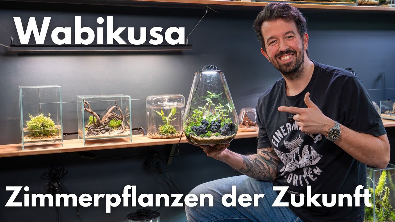 Wabikusa - Zimmerpflanzen der Zukunft