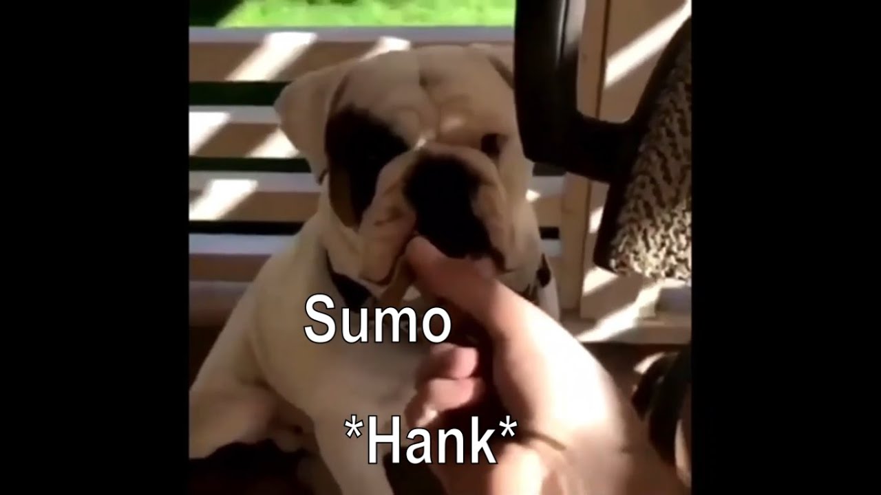 Detroit: Become Human as vines because it's been 2 long (part 2) (actually rare vines used)